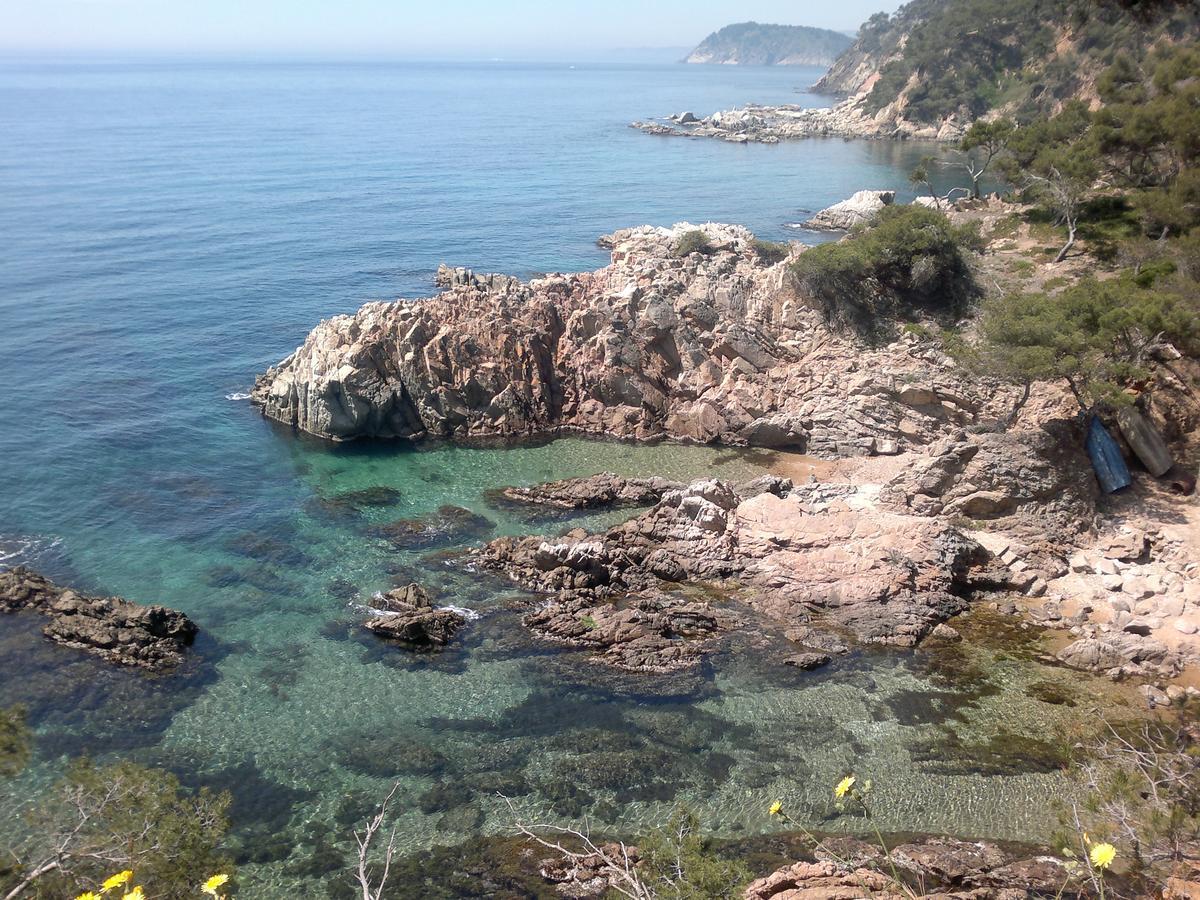 Hotel Ancora Palamós Eksteriør bilde
