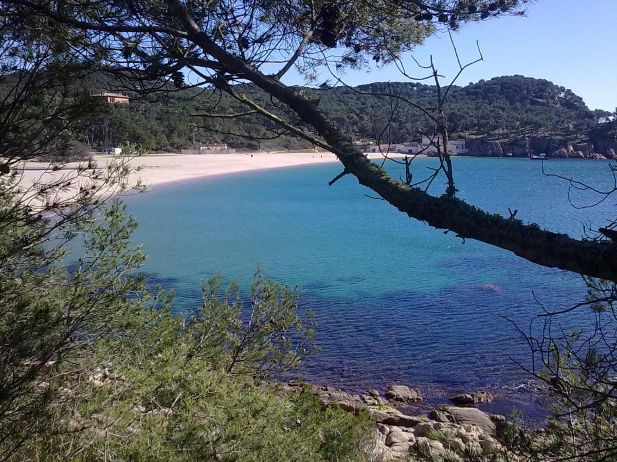 Hotel Ancora Palamós Eksteriør bilde