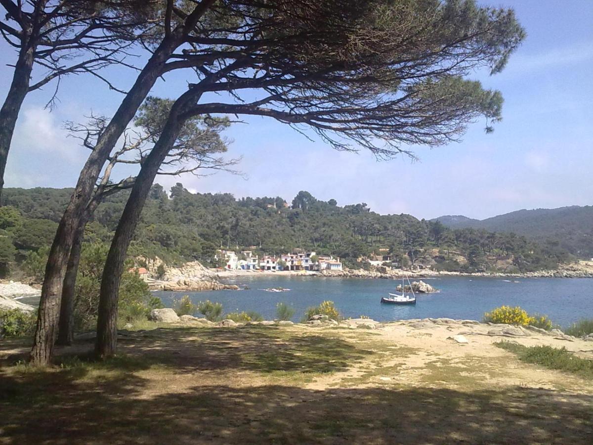 Hotel Ancora Palamós Eksteriør bilde